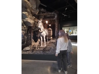 Организация и проведение месячника военно\u002Dпатриотического воспитания и оборонно\u002Dмассовой работы. Организовано посещение музея – заповедника «Прохоровс